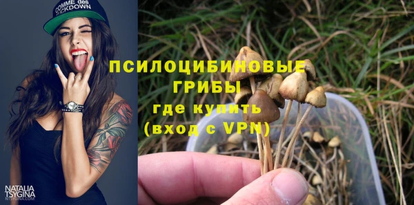 трава Кулебаки