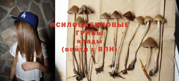 трава Кулебаки