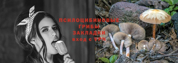 молекула духа Куйбышев