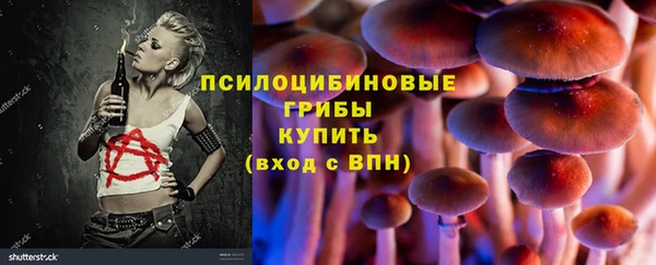молекула духа Куйбышев