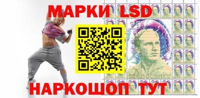apvp Гатчина