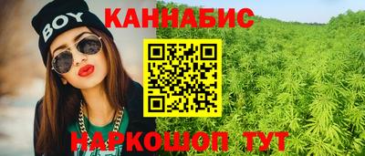 apvp Гатчина