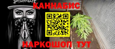 apvp Гатчина