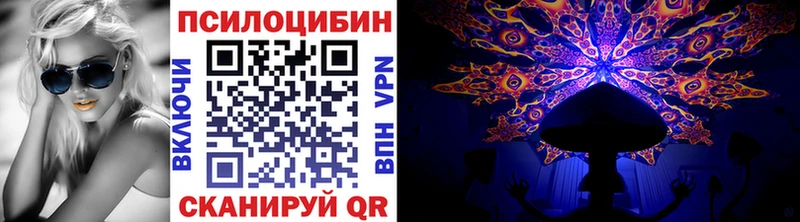 где можно купить наркотик  Стерлитамак  Псилоцибиновые грибы GOLDEN TEACHER 