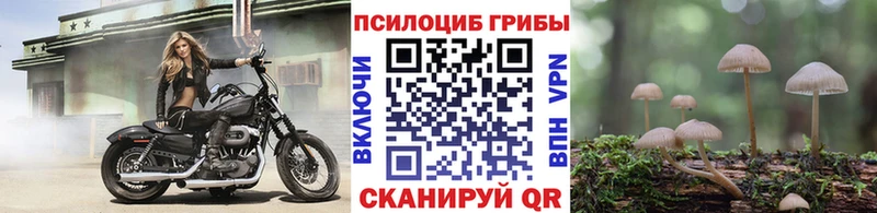 Галлюциногенные грибы Psilocybe Стерлитамак