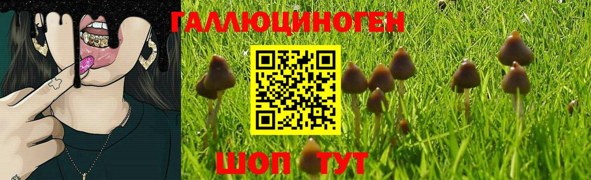 Псилоцибиновые грибы ЛСД  Стерлитамак  Галлюциногенные грибы Psilocybe 