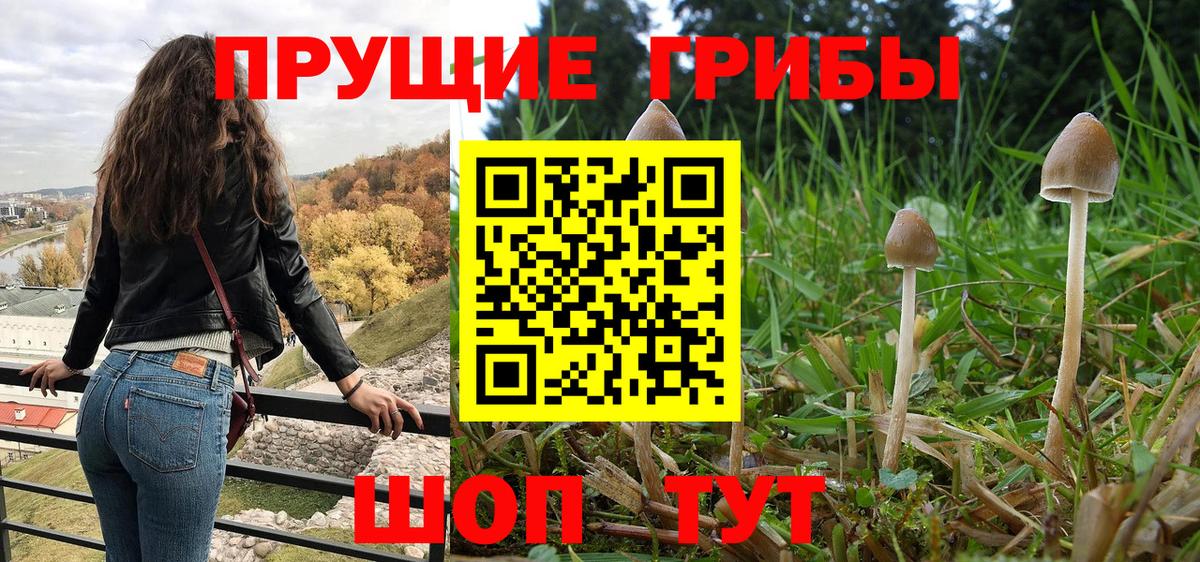 Галлюциногенные грибы MAGIC MUSHROOMS Стерлитамак