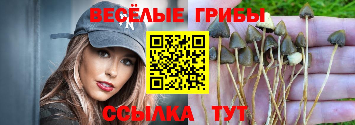 Галлюциногенные грибы Cubensis Стерлитамак