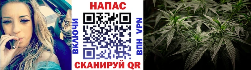 купить наркотики сайты  Стерлитамак  mega ONION  Конопля семена 